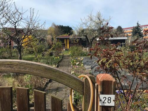 Foto - Verwunschener Kleingarten in Gohlis Nord abzugeben