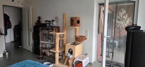 Foto - Etagenwohnung in Gronau (Westfahlen) zur Miete