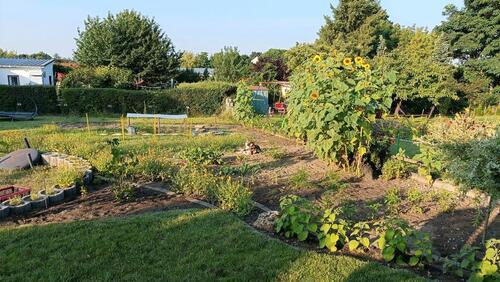 Foto - Pachtgarten Kleingarten abzugeben