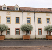 großes Haus für Ihre Ideen - bitte lesen - Dresden Cotta