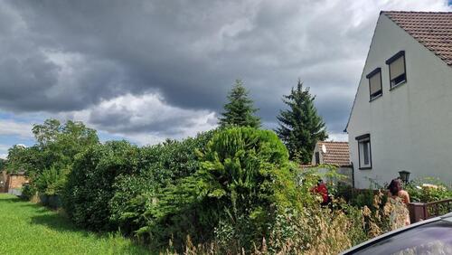 Foto - Einfamilienhaus in Osternienburger Land