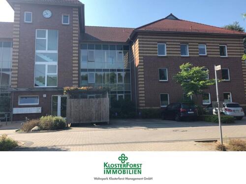 Foto - Freier Stellplatz im Klosterforst