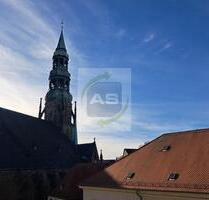 Exklusives Dompanorama + Terrasse + Einbauküche - Zwickau