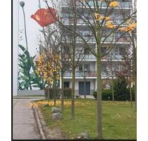 Nachmieter für altersgerechte Wohnung Mieter ab 60 Jahre - Berlin Hellersdorf