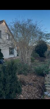 Foto - Einfamilienhaus in Großenkneten zum Kaufen