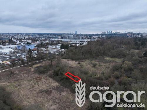 Foto - Überwucherte Grünfläche (ca. 118 m²) in Frankfurt am Main Seckbach