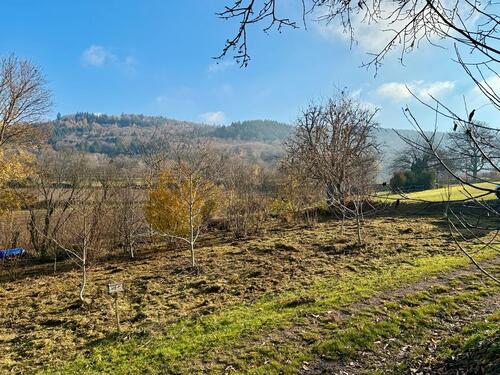 Foto - Garten zu verpachten - 50,00 EUR Kaltmiete, ca.  0,00 m²