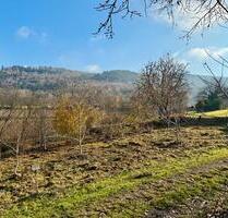 Garten zu verpachten - 50,00 EUR Kaltmiete, ca.  0,00 m² in Friesenheim (PLZ: 77948)