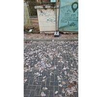 Zossen PKW Stellplatz von Privat - Königs Wusterhausen