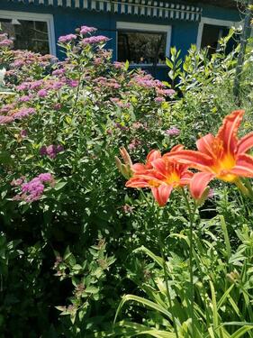 Foto - Kleingarten Volksgesundung e.V. Leipzig Gohlis