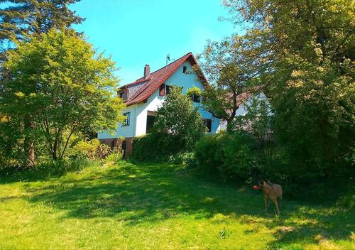 Foto - 6 Zimmer Einfamilienhaus zum Kaufen in Zeitlofs