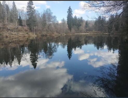Foto - Ferienwohnung in Altenau im Harz (GoodTimes)