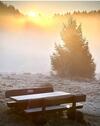 Foto - andere in Rhauderfehn