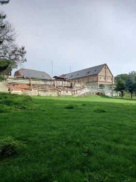 Foto - Einfamilienhaus in Bad Lauchstädt zum Kaufen