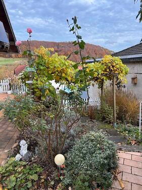 Foto - Einfamilienhaus in Liebenau