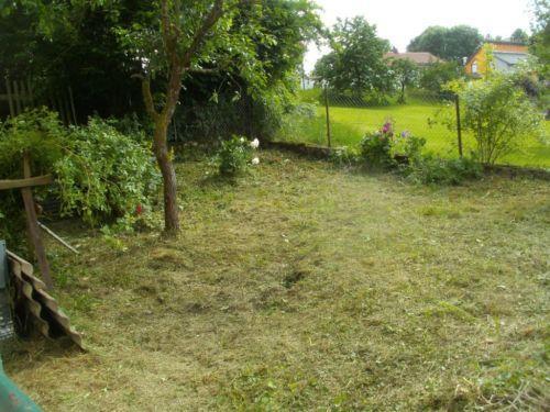 Foto - 6 Zimmer Einfamilienhaus in Winklarn
