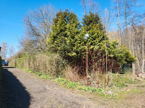 Foto - Grundst&uuml;ck zur Miete in Chemnitz