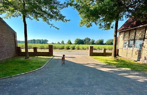 Foto - andere zur Miete in Münster