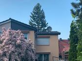 Foto - Einfamilienhaus in Halle (Saale) zum Kaufen