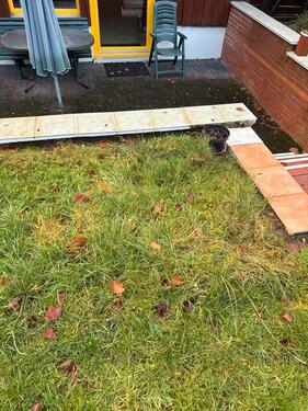 Foto - 3 Zimmer Etagenwohnung zur Miete in Springe