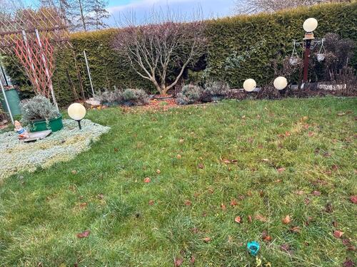 Foto - 3 Zimmer Etagenwohnung in Springe