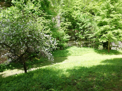Foto - Grundstück in Porschdorf bei Bad Schandau