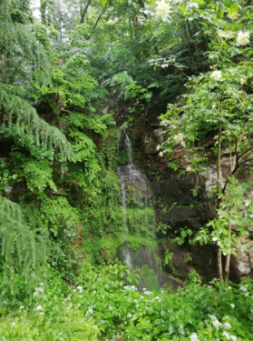 Foto - Einfamilienhaus in Dresden