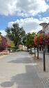 Foto - andere in Bergheim