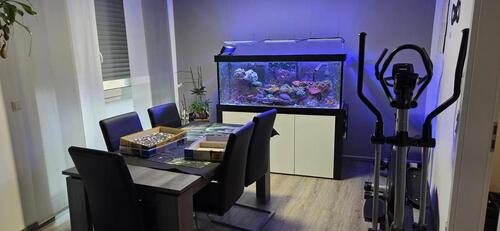 Foto - 120 qm Wohnung im Herzen von Südlohn zu vermieten