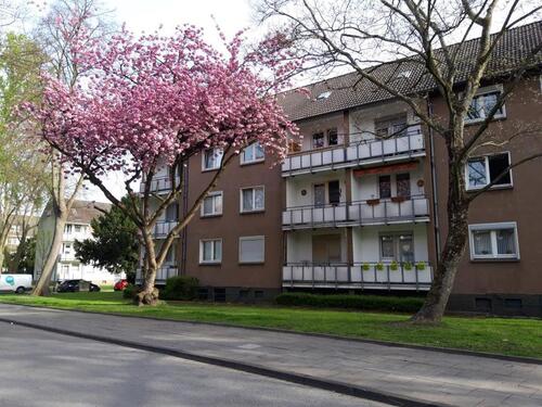 Foto - Bringen Sie Ihr Herz mit, es wird sich wohlfühlen!