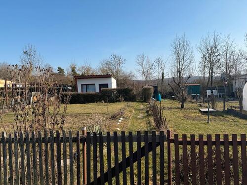 Foto - Schöner Pachtgarten sofort abzugeben