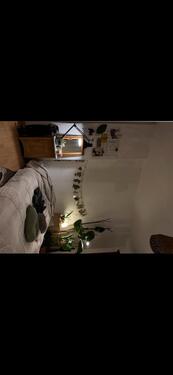 Foto - 1 Zimmer Erdgeschoßwohnung zur Miete in Osnabrück