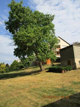 Foto - Einfamilienhaus in Friedewald zum Kaufen