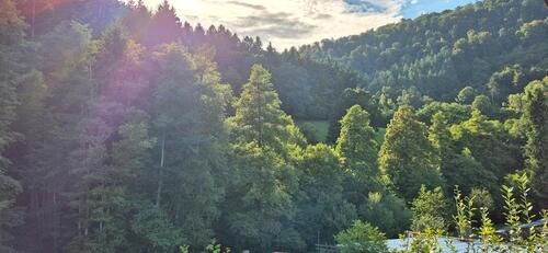 Foto - Einfamilienhaus in Schneeberg