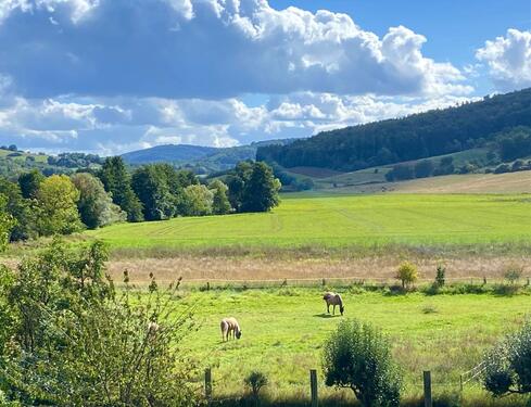 Foto - Etagenwohnung in Wehretal zur Miete