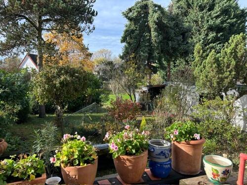 Foto - 5 Zimmer Einfamilienhaus zum Kaufen in Leverkusen