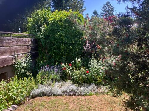 Foto - Schöne 2-Zimmer-Gartenwohnung in ruhiger Lage von Dachau