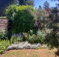 Schöne 2-Zimmer-Gartenwohnung in ruhiger Lage von Dachau