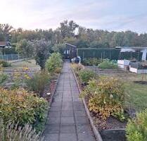 Kleingarten – grüne gemütliche Oase abzugeben - Leuna