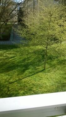 Foto - 3 Zimmer Etagenwohnung zum Kaufen in München