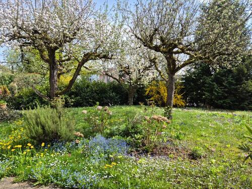 Foto - Einfamilienhaus in Überlingen