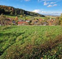 Wiese in Hanglage zu Verpachten - Woringen