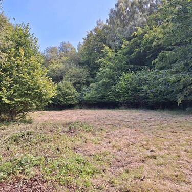 Foto - Einfamilienhaus in Putbus zum Kaufen