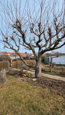 Foto - Grundst&uuml;ck in Magdeburg