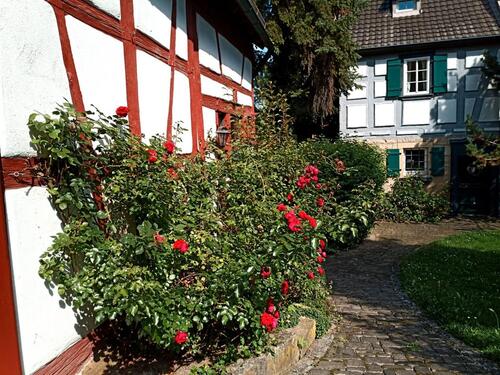 Foto - 3 Zimmer Erdgeschoßwohnung zur Miete in Iphofen