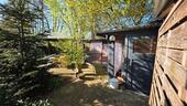Foto - Bauernhaus, Landhaus in Weener zum Kaufen