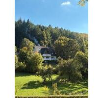 Schmallenberg 57392 Landhaus zu verkaufen OT