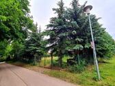 Foto - Einfamilienhaus in Gerbstedt zum Kaufen