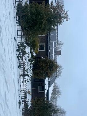 Foto - 4 Zimmer Bungalow zur Miete in Haselünne