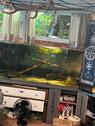 Foto - 4 Zimmer Einfamilienhaus in Marktoberdorf